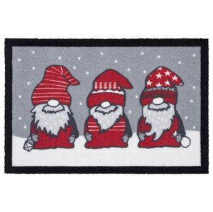 LIVARNO home Rohožka, 40 x 60 cm (Santa)