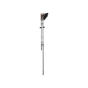 Crivit Karbonové hole na Nordic Walking (světle šedá)
