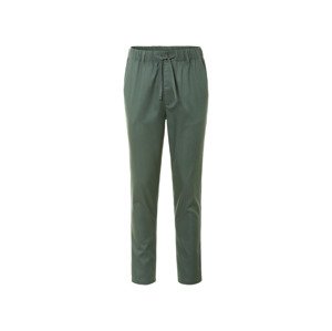 LIVERGY® Pánské kalhoty (48, zelená)