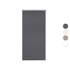 LIVARNO home Termo roleta, 60/80/90/100 x 150 cm