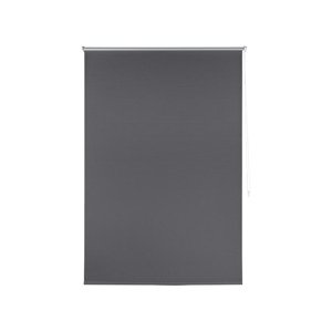 LIVARNO home Termo roleta, 60/80/90/100 x 150 cm (80 x 150 cm, antracitová)