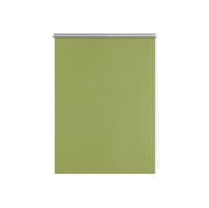 Lichtblick Termo zatemňovací roleta, od 45 x 150 cm (60 x 220 cm, zelená)