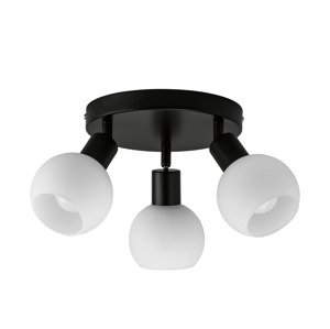 Livarno home Stropní LED svítidlo (stropní svítidlo bodové)