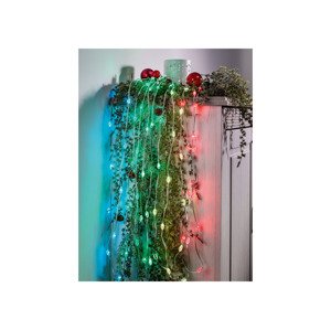 Livarno home Světelný LED řetěz (oválný tvar)