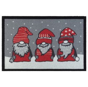 Livarno home Rohožka, 40 x 60 cm (Santa)