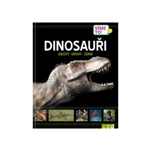 Dětská vědomostní kniha (dinosaurus)