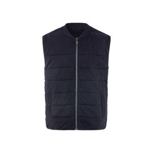Livergy® Pánská prošívaná vesta (S (44/46), navy modrá)