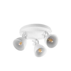 Livarno home Stropní LED svítidlo Teiwaz (stropní svítidlo bodové, bílá)