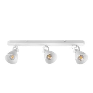 Livarno home Stropní LED svítidlo Teiwaz (stropní svítidlo kolejnicové, bílá)