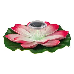 Livarno home Solární LED dekorace (vodní lilie)