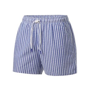 Crivit Pánské koupací kraťasy (pruhy/modrá, 7/Xl)