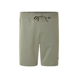 Livergy® Pánské teplákové kraťasy (zelená, L (52/54))