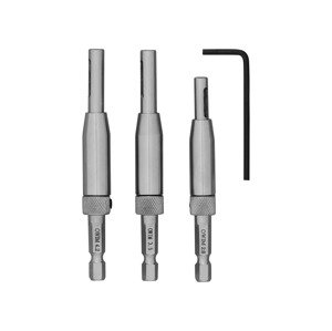 Parkside® Vrtáky pro vrtání závěsů / Sada děrovacích pil / HSS vytahovák šroubů / Držák bitů / Flexibilní hřídel (Vrtáky pro vrtání závěsů)