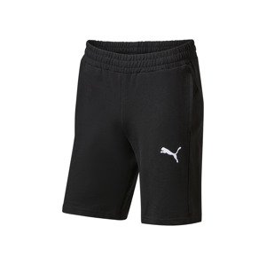 Puma Pánské teplákové kraťasy Teamgoal Casuals (černá, XL)
