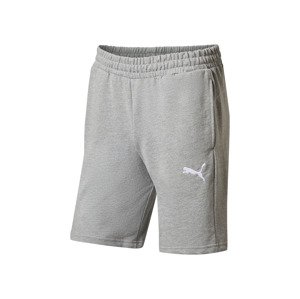 Puma Pánské teplákové kraťasy Teamgoal Casuals (šedá, L)