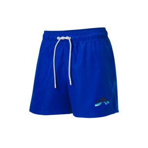 Crivit Pánské koupací kraťasy (modrá, 7/Xl)
