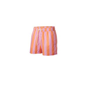 Crivit Pánské koupací kraťasy (pruhy, 7/Xl)