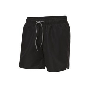 Crivit Pánské koupací kraťasy (černá, 7/Xl)