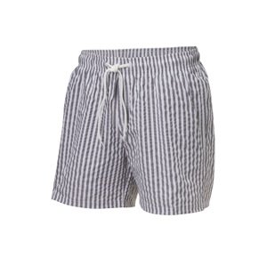 Crivit Pánské koupací kraťasy (pruhy, 5/M)
