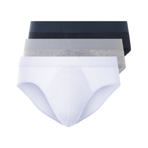 Livergy® Pánské slipy, 3 kusy (černá/šedá/bílá, 4/S)