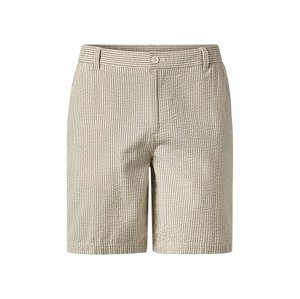 esmara® Pánské kraťasy (pruhy, S (44/46))