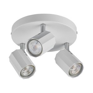 Livarno home Stropní / Nástěnné LED svítidlo Theia (stropní bodové svítidlo, matná bílá)