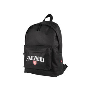Dámský / Pánský batoh US College Sports (Harvard/bílá)