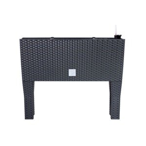 Prosperplast Truhlík se zavlažovacím systémem Rato Case High (antracitová, Š 60 x V 46 x H 25 cm)