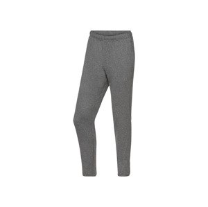 CRIVIT Pánské funkční kalhoty (adult#Žádný údaj#male, L (52/54), šedá)