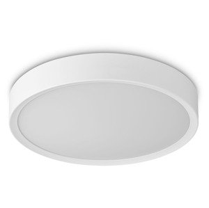 LIVARNO home Nástěnné / Stropní LED svítidlo (matně bílý rám - silný )