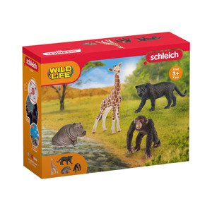 Schleich Startovací balíček (Wild Life (72162))